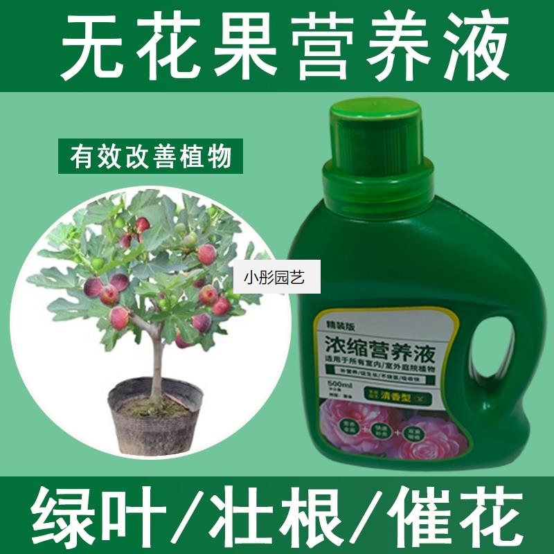 无花果营养液通用型无花果专用营养液花肥绿植水培植物肥料液体肥