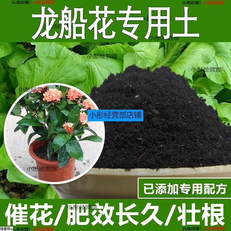 龙船花专用土龙船花专用营养土酸性土种植土通用土有机土肥料土壤