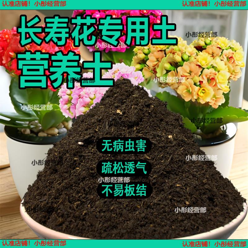 长寿花专用营养土养花种花土通用种植土酸性土壤阳台花园用品肥料