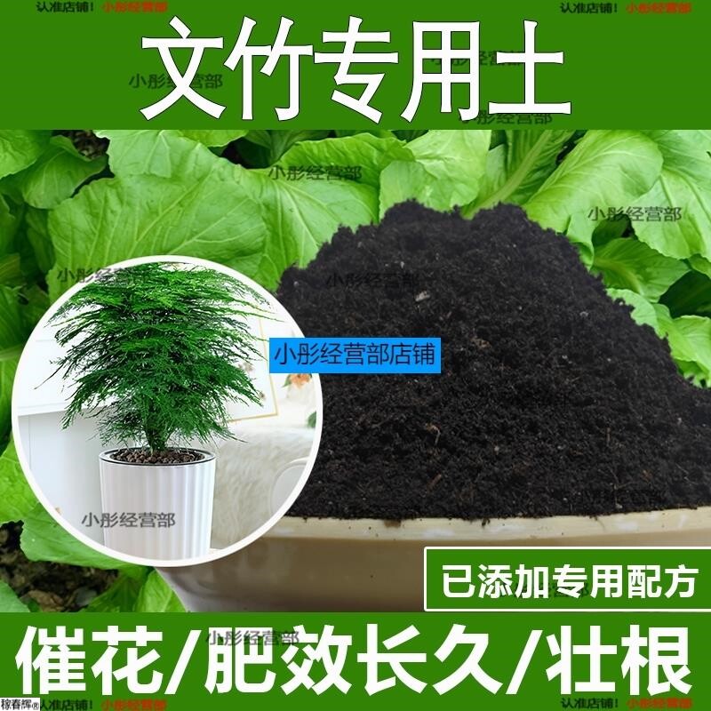 文竹专用土文竹专用营养土酸性土种植土通用土有机土肥料养花种花
