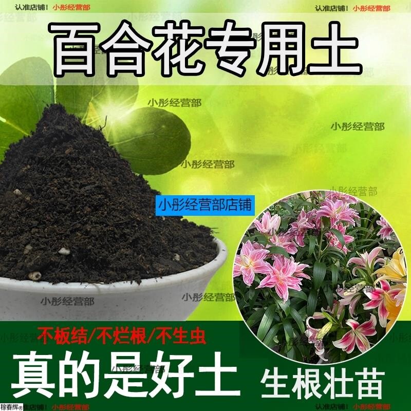 土香水百合花专用营养土营养庭院土壤用品阳台花园养花肥料植物土
