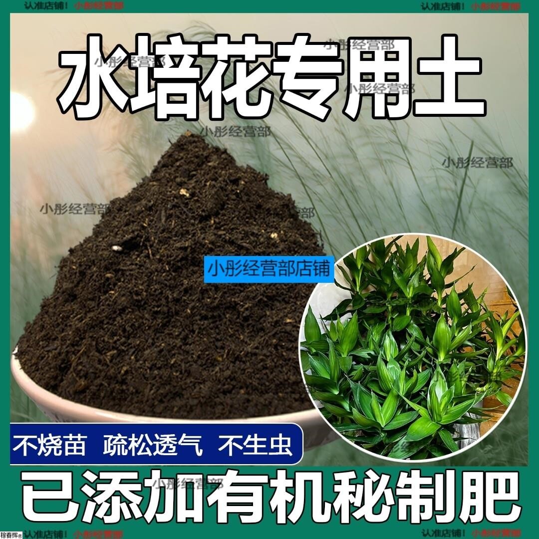 水培植物专用土盆栽土肥料养花泥土家庭阳透气种植水培植物营养土