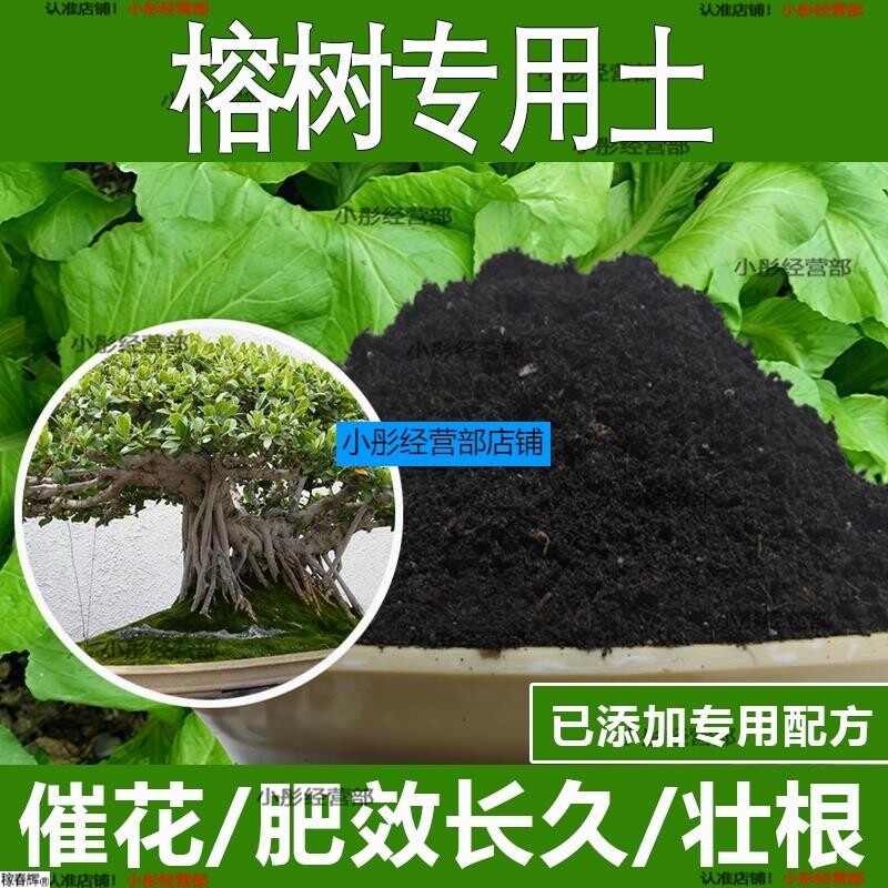 榕树专用土榕树专用营养土酸性土种植土通用土有机土肥料养花种花