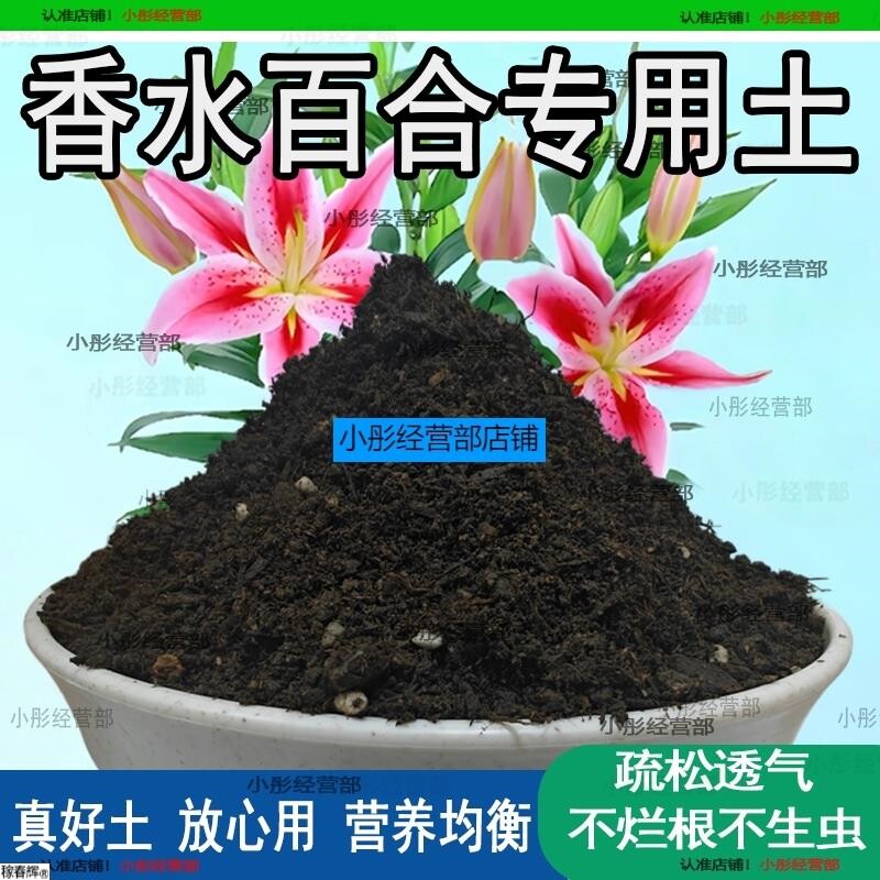 香水百合专用营养土 香水百合专用土 盆栽花土种花养花种植土壤