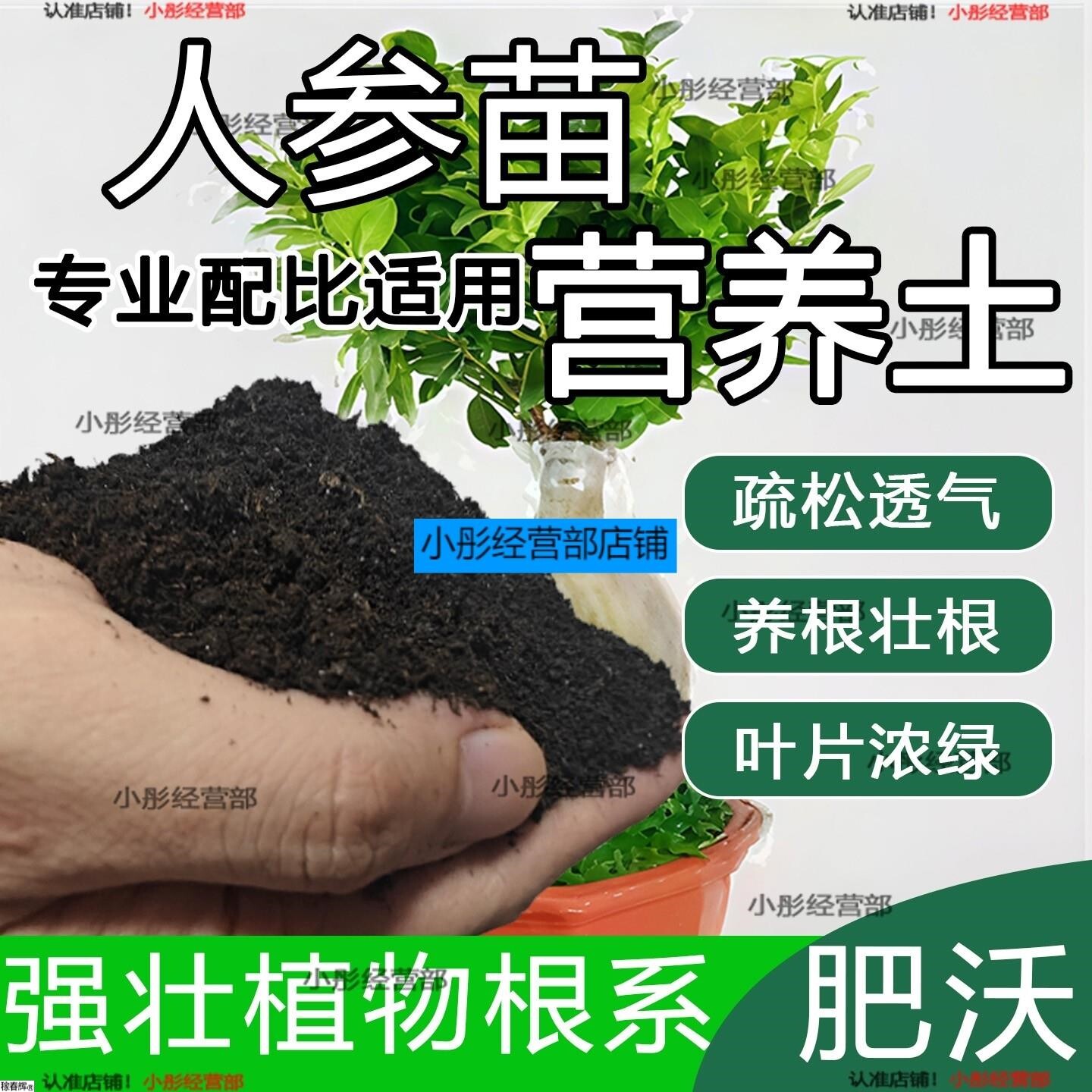 人参苗专用土人参苗土种植土壤营养土盆栽种花泥土透气通用养花土