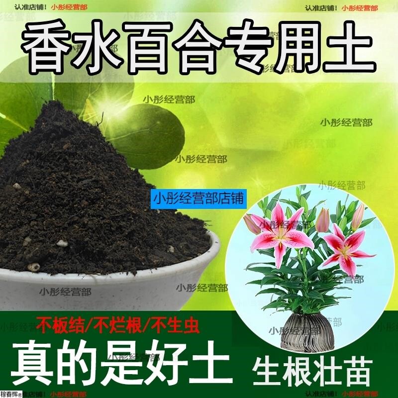 香水百合专用营养土 香水百合专用土 盆栽花土种花养花种植土壤