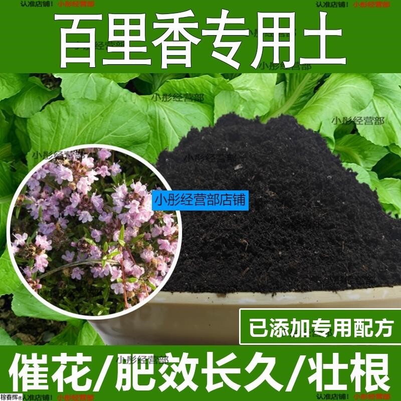 百里香专用土百里香专用营养土酸性土种植土通用土有机土肥料土壤