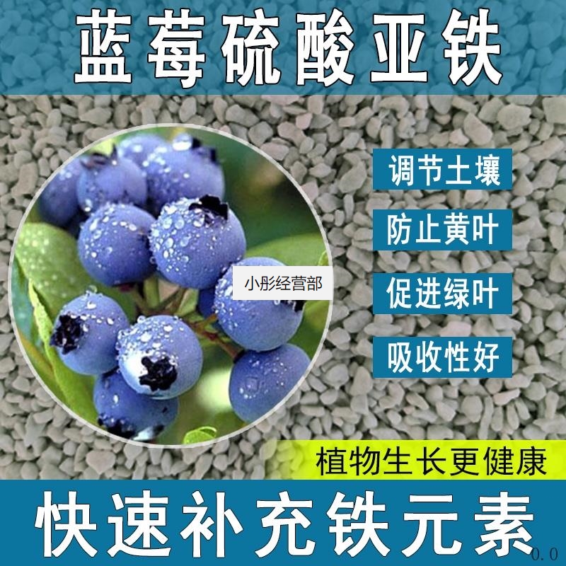 蓝莓硫酸亚铁花肥料养花绿植通用调节生长喜酸植物专用肥促生根