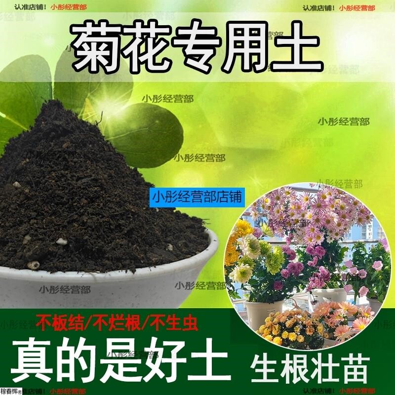 菊花专用土 菊花配方土 营养土疏松透气盆栽绿植专用种植土壤肥料