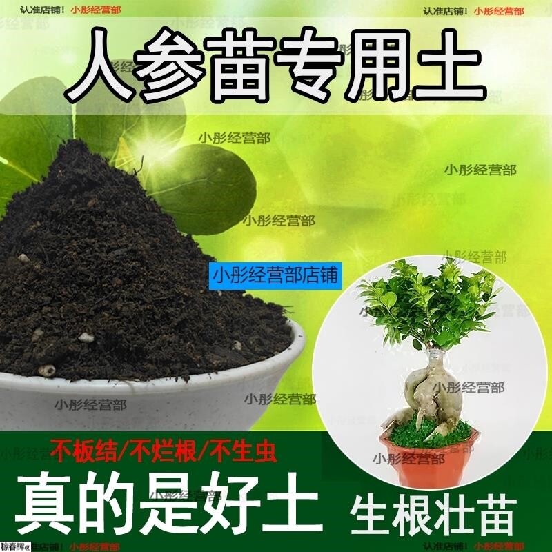 人参苗专用土人参苗土种植土壤营养土盆栽种花泥土透气通用养花土