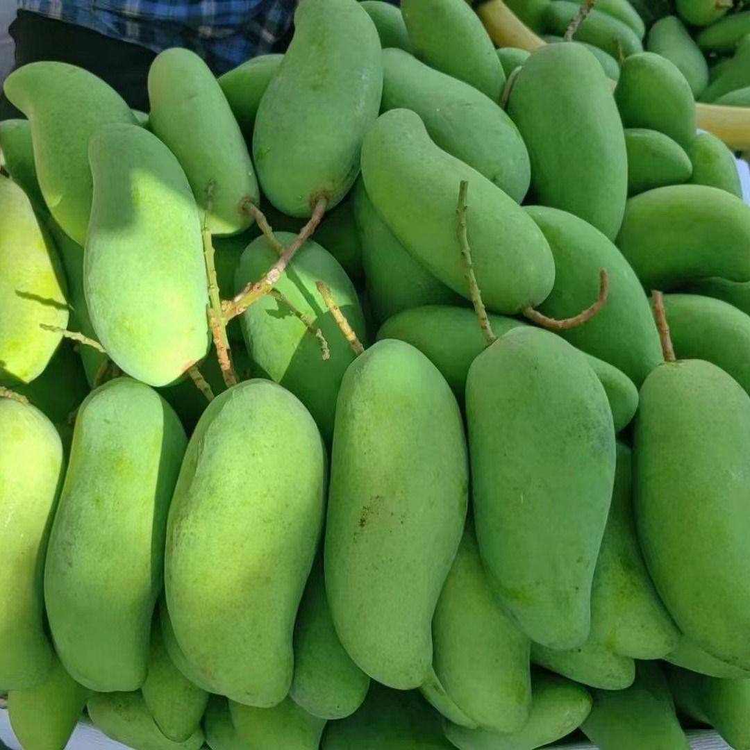 云南象牙芒新鲜酸芒果青皮芒果酸脆芒果生吃芒辣椒,水产肉类/新鲜蔬果/熟食,芒果,淘宝优惠券,粉丝福利购,淘宝优惠卷