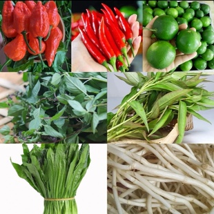 云南特产傣味香料组合柠檬撒撇原料新鲜香菜柠檬小米辣酸鱼料