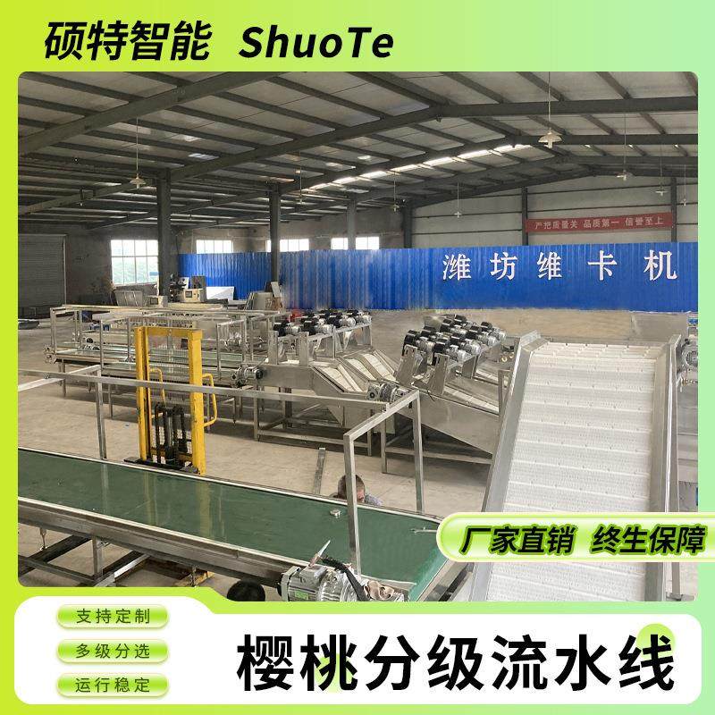 樱桃分选机甜杏大小选果机蓝莓百香果分级机车厘子电子选果机