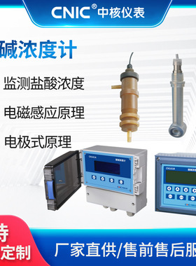 工业污水酸碱浓度计 CN16 在线监测仪表 盐酸浓度分析仪