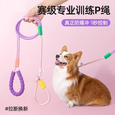 狗狗牵引绳大中型犬户外防爆冲绳
