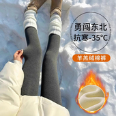 袜 加绒秋裤 女秋冬2025新款 外穿显瘦春秋薄绒保暖连裤 深灰色打底裤