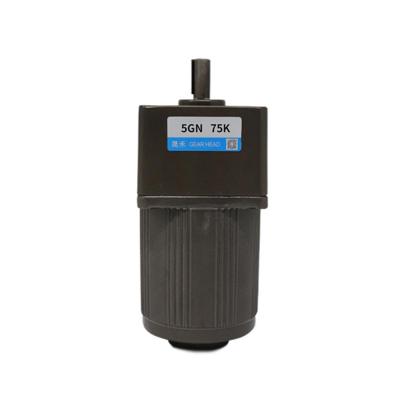 调速电机40W220V380V齿轮减速机灌肠机5I40RGN-C可调变速小马达