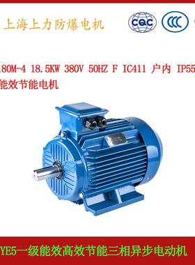 YE5-180M-418.5W380V50HZFIC411IP55B3一级能效节能电机