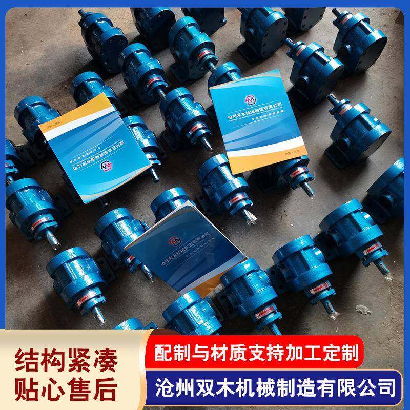 供应2CY高压齿轮泵大流量铸铁车载便携高压泵304便携式齿轮油泵