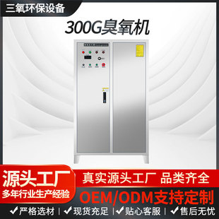 200 300g厂家直销高浓度工业级大型臭氧发生器水处理杀菌脱色设备