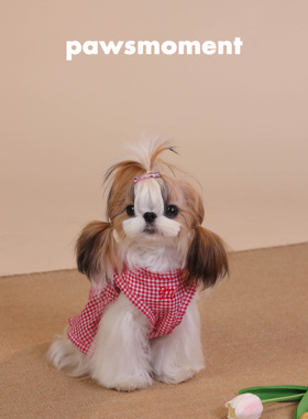 宠物春夏服装网红格子连衣裙纯棉比熊马尔济斯小型犬春夏连衣裙