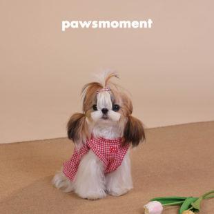 宠物春夏服装网红格子连衣裙纯棉比熊马尔济斯小型犬春夏连衣裙