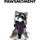 雪纳瑞小型犬防泼水外套 新款 PAWSMOMENT 宠物狗狗冲锋衣户外春季