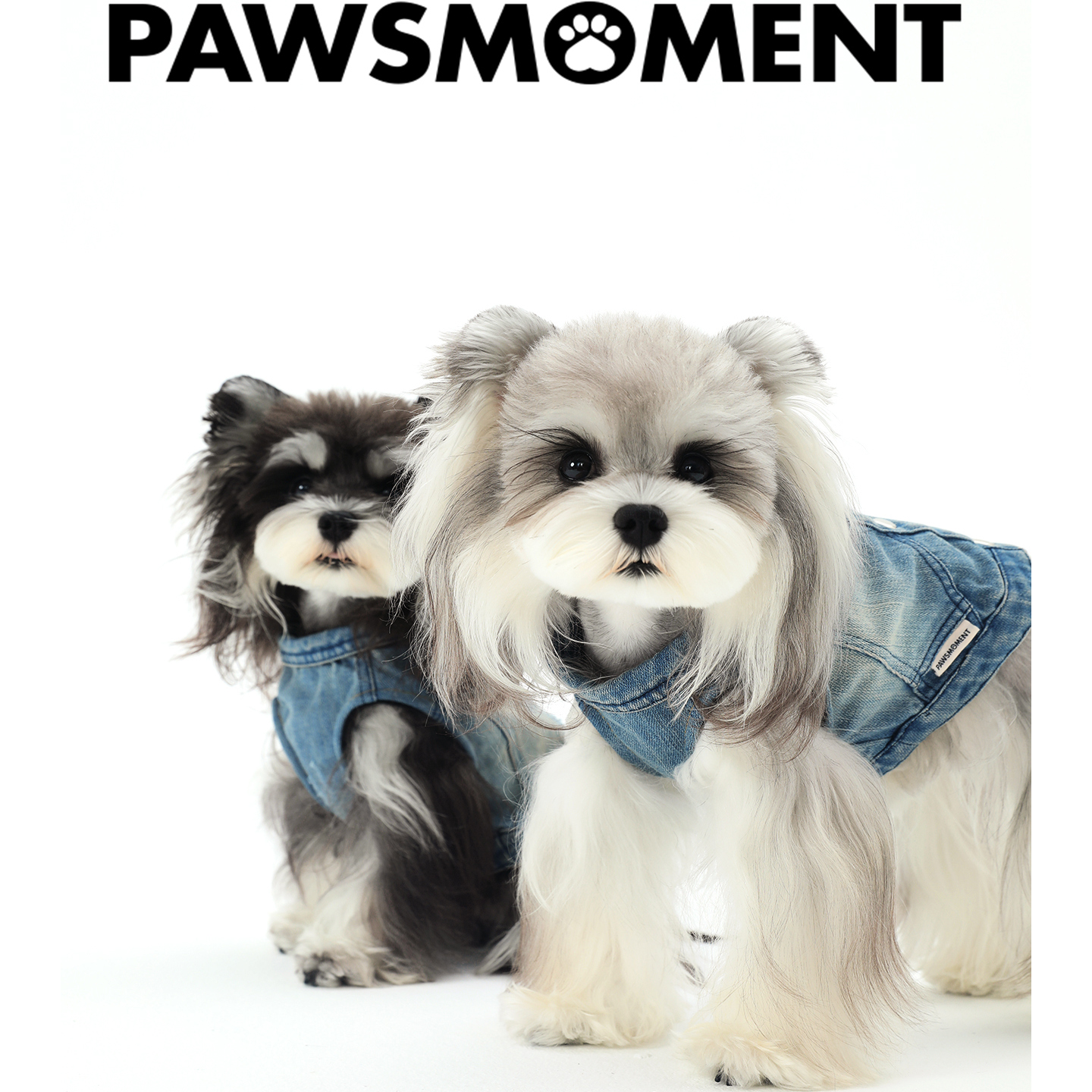PAWSMOMENT宠物牛仔外套比熊马尔济斯小型犬宠物狗狗摁扣牛仔外套