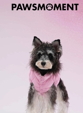 PAWSMOMENT·狗狗双面粉色格子马甲马尔济斯雪纳瑞约克夏春季新款
