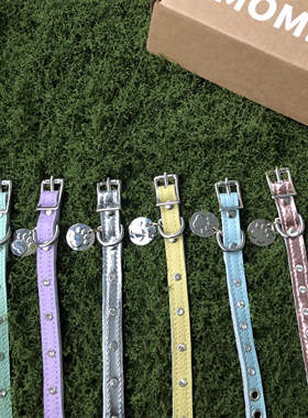 真皮项圈牵引宠物外出牵引绳柔软舒适宠物真皮项圈牵引