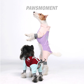 PAWSMOMENT·冬季 狗狗衣服高弹滑雪服保暖雪纳瑞约克夏腊肠 新款