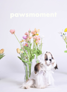 宠物吊带狗狗衣服比熊马尔济斯小型犬宠物夏季棉麻吊带背心