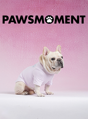 PAWSMOMENT·宠物衣服德绒打底衫春季新雪纳瑞比熊约克夏泰迪西施