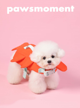 狗狗救生衣宠物游泳专用海边泳池浮力小翅膀泳衣趣味小型犬专用