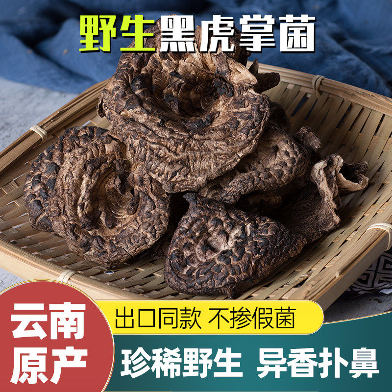 野生黑虎掌菌500g 云南楚雄营养菌菇 煲汤用虎掌干菇