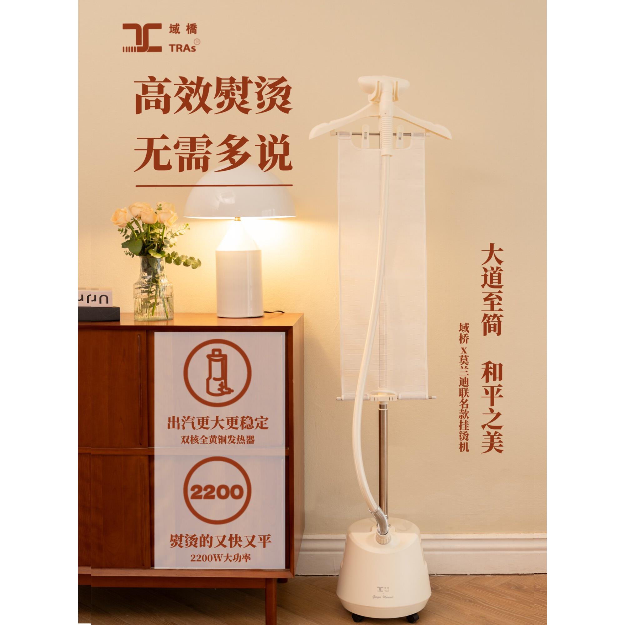 域桥挂烫机家用大功率立式熨烫机服装店同款旗舰店烫衣服熨斗新款