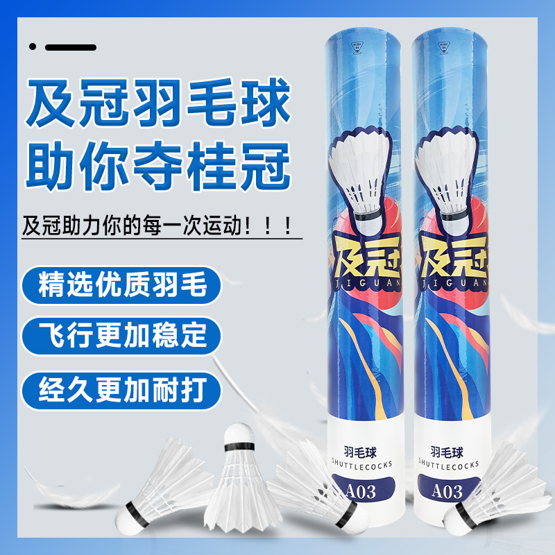 羽毛球正品耐打防风飞行稳定家庭装不易烂3/6/12学生室内娱乐用球