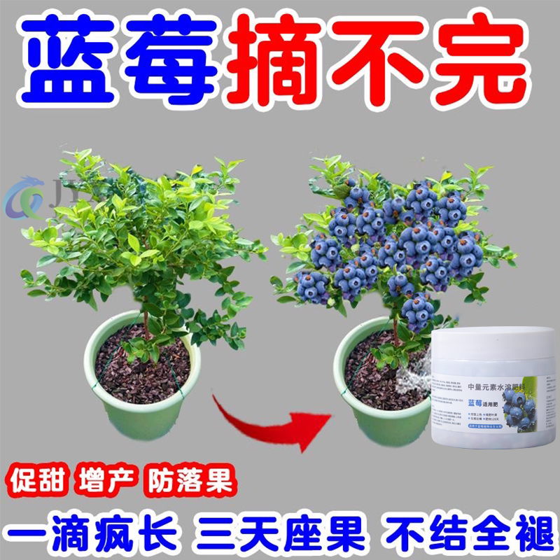 蓝莓专用肥料硫酸钾复合肥蓝莓树有机肥专用土酸性缓释肥改善黄叶
