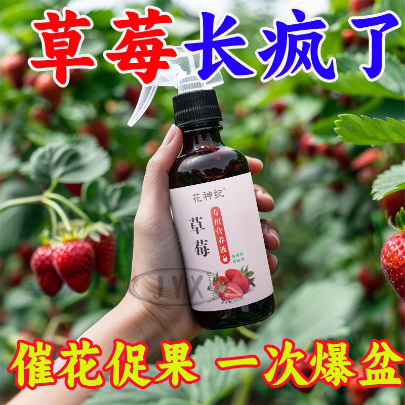 草莓肥料专用肥阳台草莓盆栽家用催花促果增甜草莓专用营养液