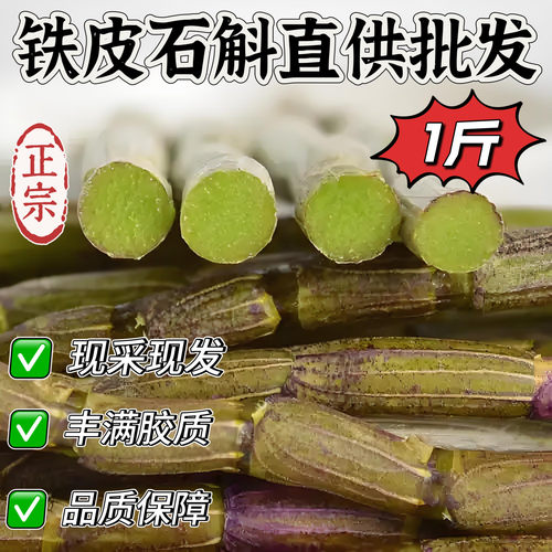 新鲜铁皮石斛鲜条500g一斤基地现采仿生种植霍山枫斗统货条直供