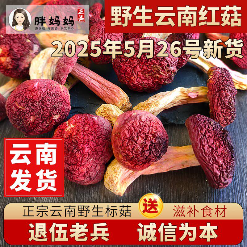 云南野生红菇500克无硫熏高山红菇孕妈滋补菇菌土鸡炖煮罐装红菇