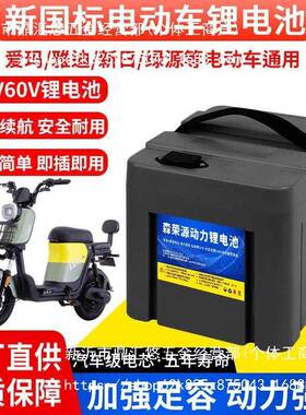 星恒天能同款48V新国标锂电池爱玛绿源新日台铃116A20AH24AH