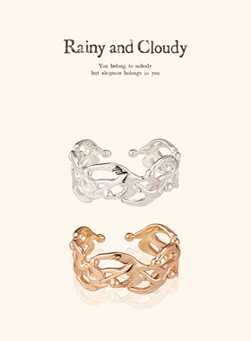 Rainy and Cloudy燕子｜飞鸟指环925银戒指女 轻奢开口戒飞鸟戒指