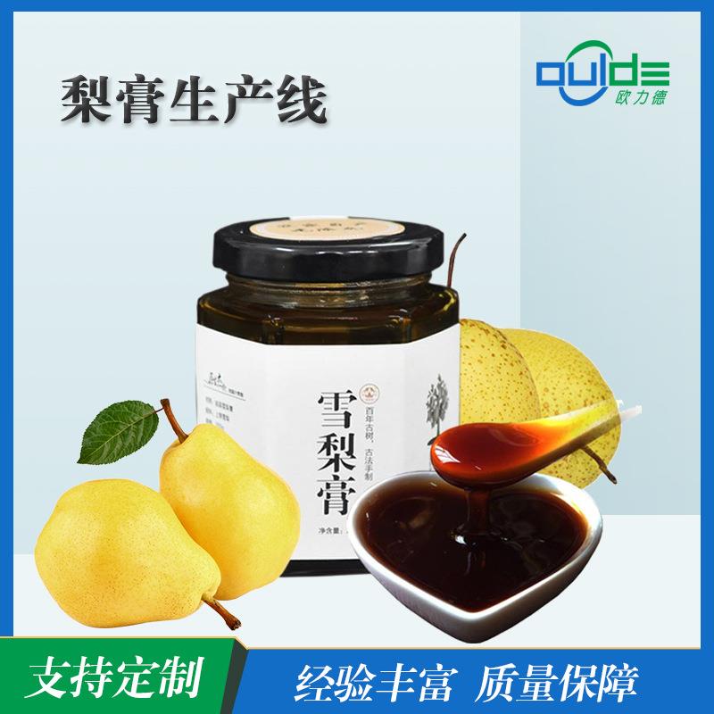 厂家直供全自动生产线大小型果汁果酱梨膏汁生产线