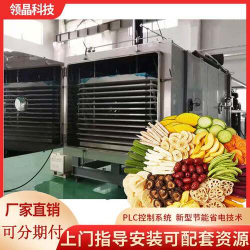 广东领晶晶华真空干燥机榴莲波罗蜜香菇片山楂糕商用大型大尺寸