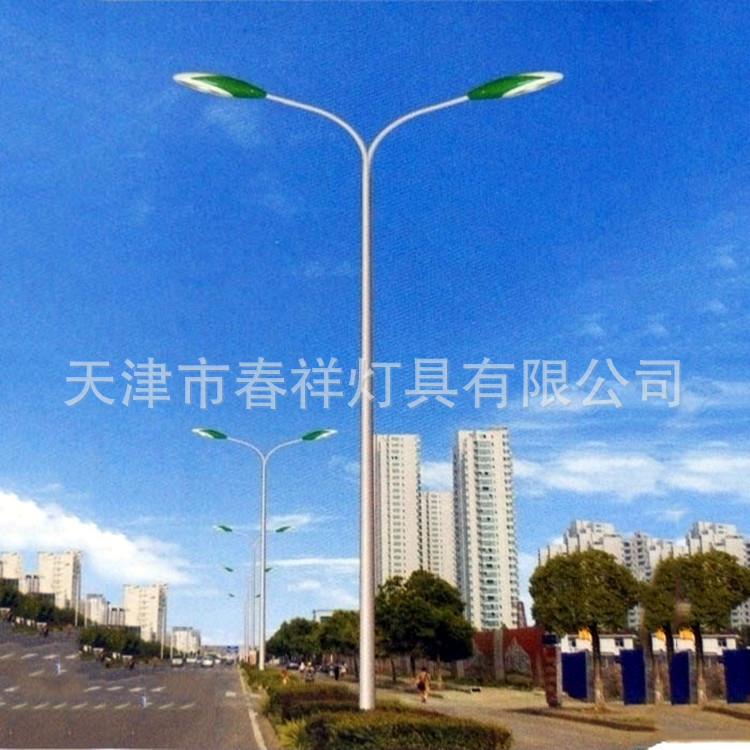 天津路灯杆双弯杆双臂杆6米路灯杆乡村户外照明双头灯杆led灯杆