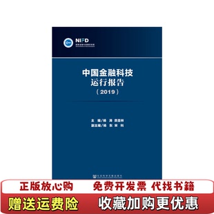 【正版图书】实拍图 中国金融科技运行报告 2019杨涛 贲圣林 杨东 宋科社会科学文献出版社9787520151016