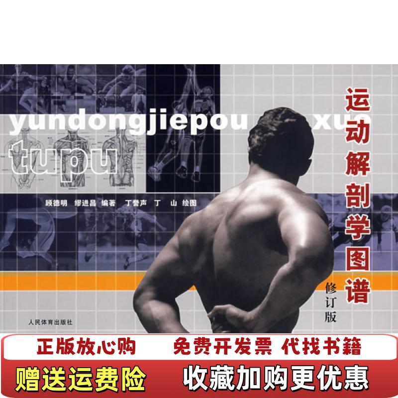 【正版图书】运动解剖学图谱顾德明缪进昌  著丁誉声丁山  绘人民体育出版社9787500927310