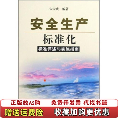 【正版图书】安全生产标准化标准评述与实施指南宋大成 著煤炭工业出版社9787502034665