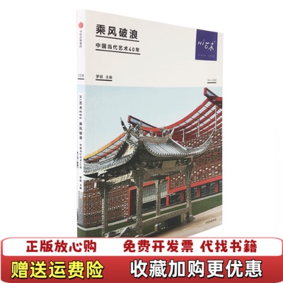 【正版图书】高温消毒发货 Hi艺术006 乘风破浪中国当代艺术40年罗颖  著中信出版集团中信出版社9787508692494